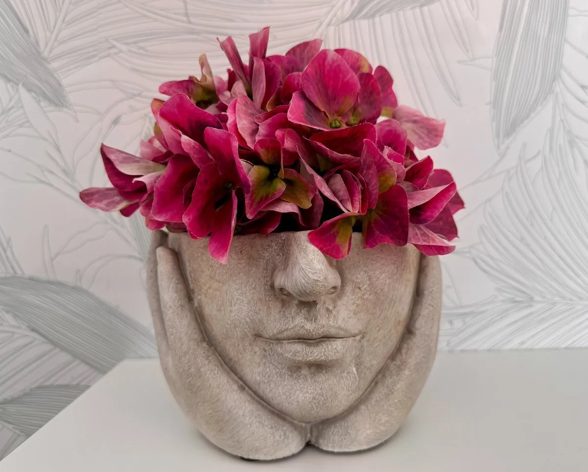 Entrada principal a la consulta en Tres Cantos desde la Pl. de la Constitución 7, local 42